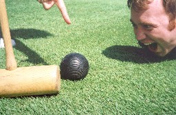 An image of the Town Hall